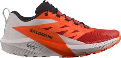 Salomon Sense Ride 5 42